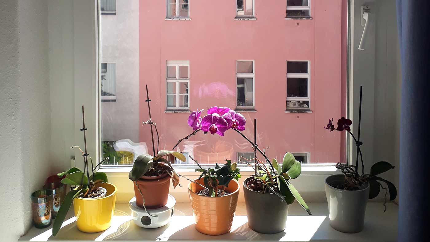 Arbeiten allein Haus. Bericht aus dem Home Office von Sarah Rüger