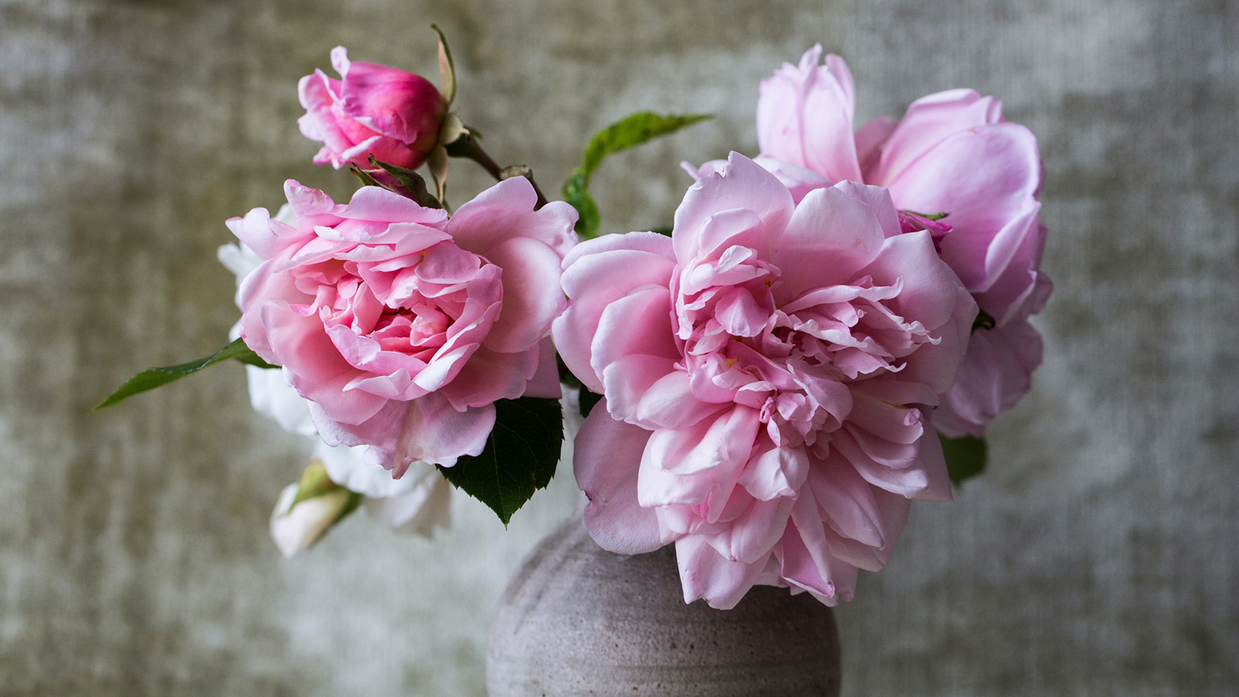 Zwei langjährige FCZB-Kolleginnen wurden bei der diesjährigen Mitgliederversammlung verabschiedet. Foto: Alex Seinet/Unsplash