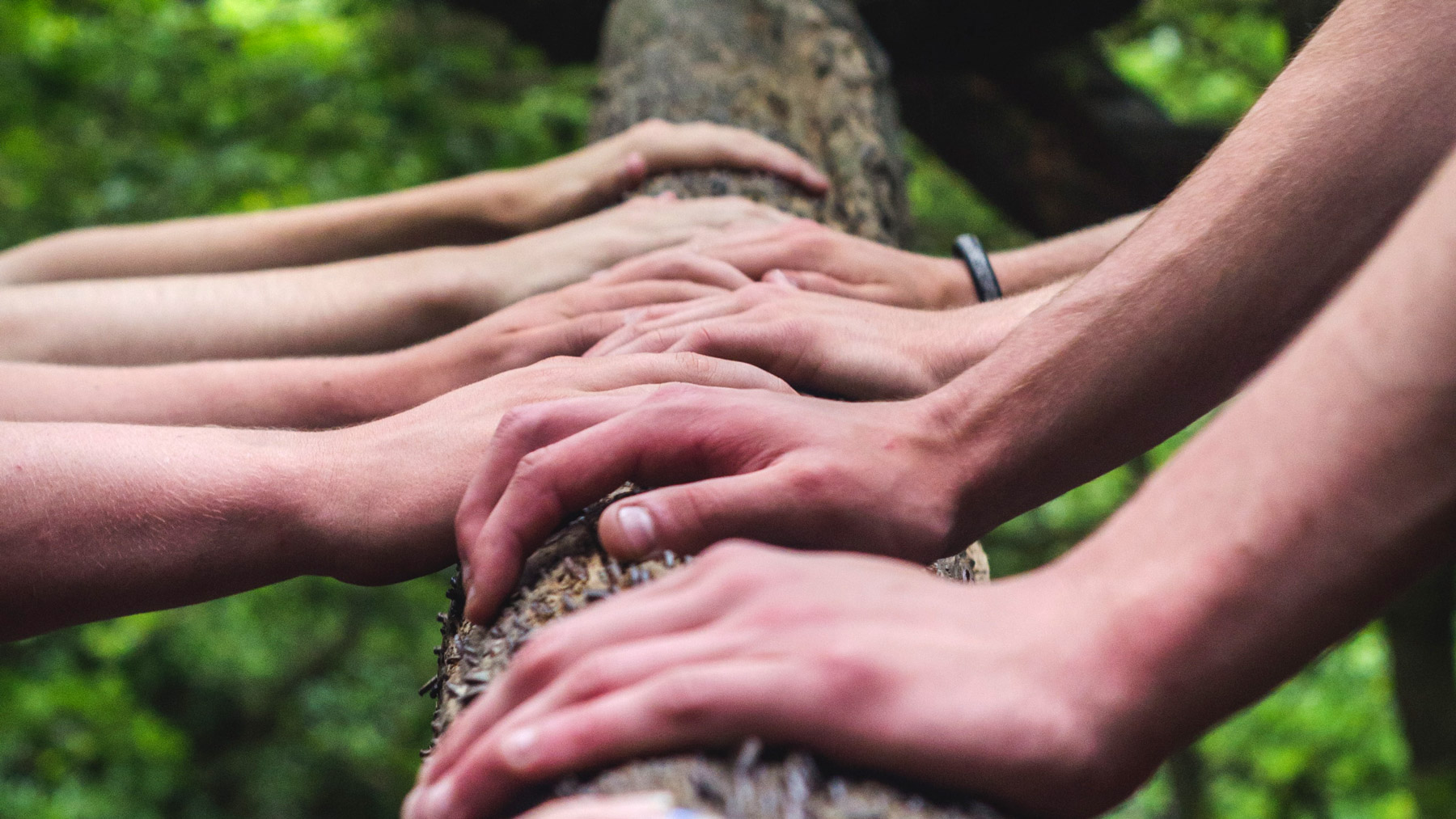 Partizipation war ein wichtiges Thema bei der diesjährigen FCZB-Mitgliederversammlung. Foto: Shane Rounce/Unsplash